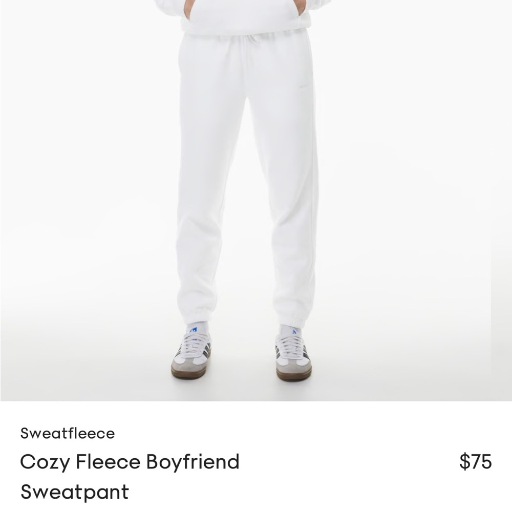 Aritzia TNA Cozy Fleece Boyfriend Sweatpants